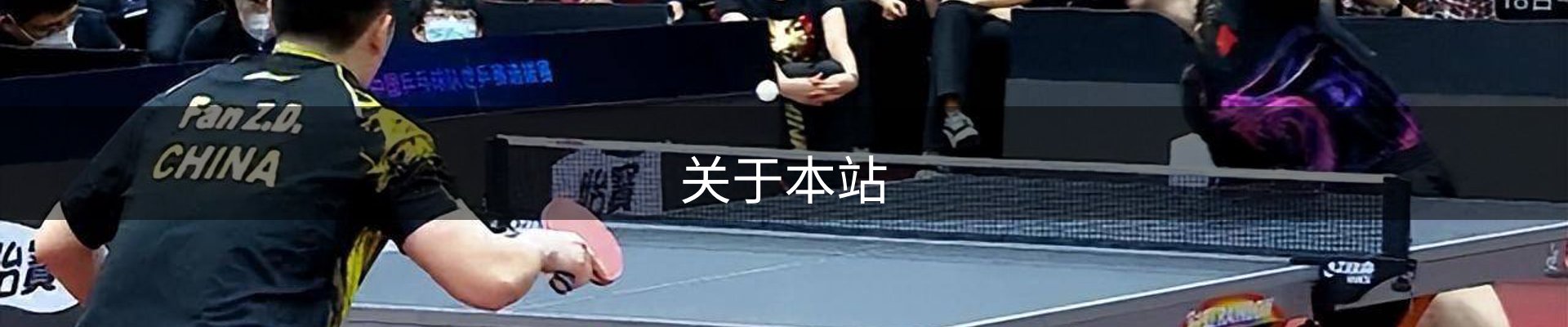 关于本站
